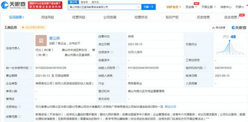 跨界布局與新需求探索 新東方多地成立教育咨詢公司的戰略解讀